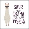 Obraz DECO BOX SAVE THE DRAMA 30 x 30 cm