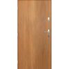 Drzwi wejściowe GRENOBLE Dąb Winchester 80 Lewe PANTOR