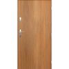 Drzwi wejściowe GRENOBLE Dąb Winchester 80 Prawe PANTOR