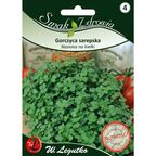 Gorczyca sarepska na kiełki W. LEGUTKO