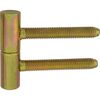 Zawias do drzwi wkręcany 13.5 x 60 mm Żółty 2 szt.
