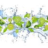 Fototapeta Limonki 368 x 254 cm
