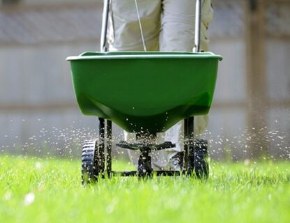 Nawożenie trawnika – jak zadbać o trawę przez cały rok?