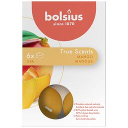 Podgrzewacz zapachowy True Scents mango 6 szt.