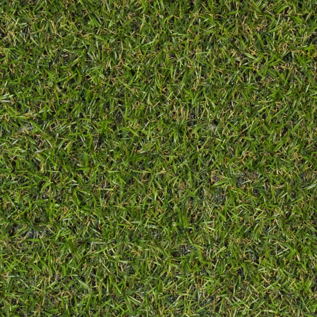 Sztuczna trawa Barbados 1 x 5 m