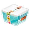 Zestaw pojemników ARCTIC LINE 0.85 l 3 szt. ORPLAST