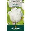 Tulipan Triumph WHITE LIBERSTAR 7 szt. cebulki kwiatów VILMORIN