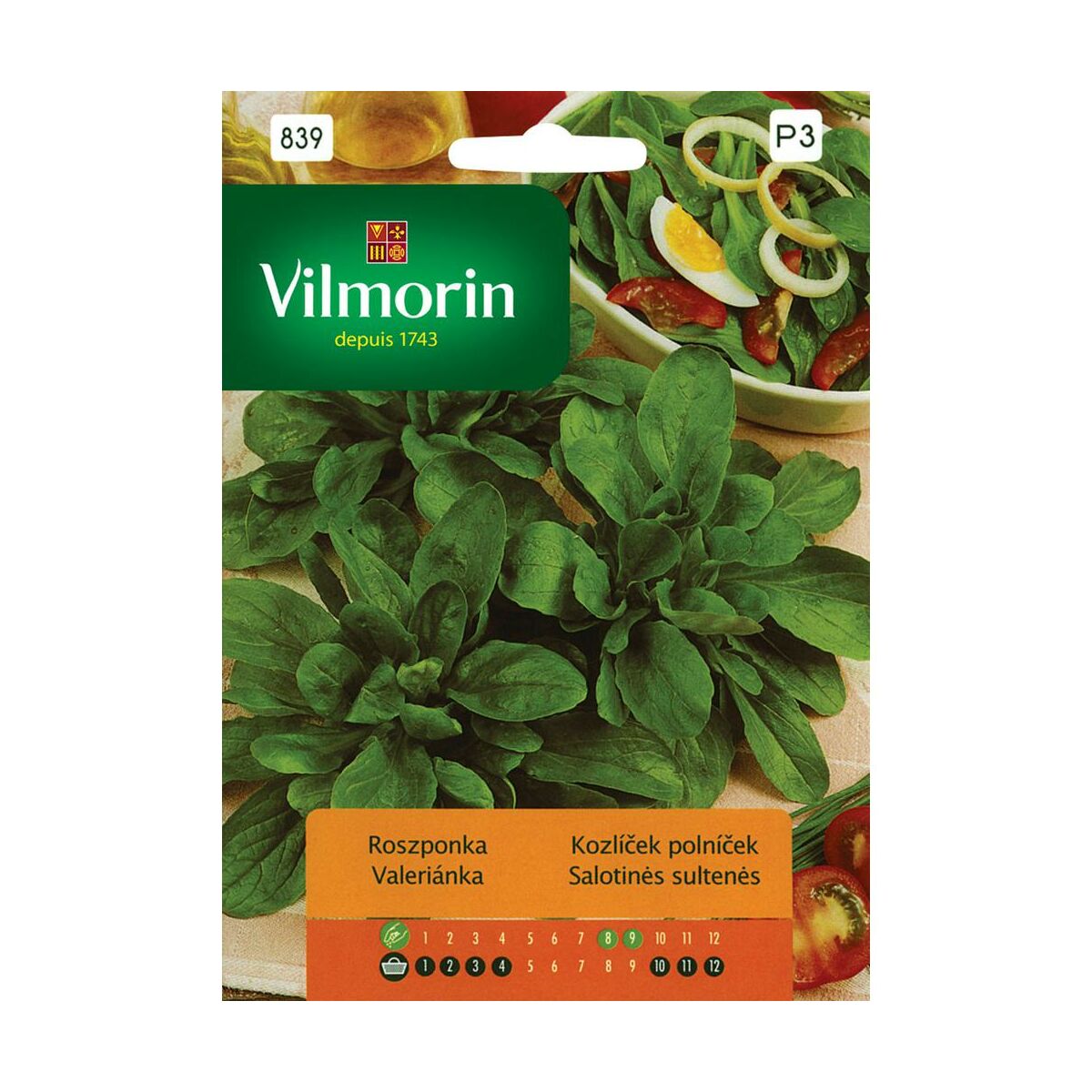 Roszponka VIT nasiona tradcyjne Vilmorin