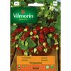 Truskawka TEMPTATION nasiona tradycyjne 0.02 g VILMORIN