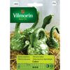Dynia ozdobna COBRA VILMORIN
