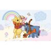 Fototapeta KUBUŚ PUCHATEK 219 x 312 cm DISNEY