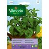 Mięta pieprzowa nasiona tradycyjne 0.1 g VILMORIN