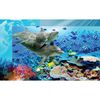 Fototapeta DOLPHIN 208 x 146 cm