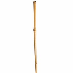 Tyczka bambusowa 180cm x 12/14 mm Nortene