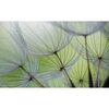 Fototapeta DMUCHAWIEC 70.5 x 104 cm