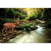 Fototapeta DEER 208 x 146 cm
