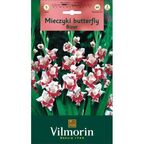 Mieczyk BIZAR 5szt. VILMORIN
