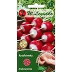 Rzodkiewka KRAKOWIANKA W. LEGUTKO