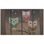 Wycieraczka zewnętrzna OWL 45,5 cm x 76 cm INSPIRE