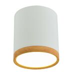 Oprawa natynkowa TUBA IP20 śr. 6.8 cm biała LED CANDELLUX