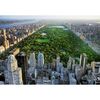 Fototapeta CENTRAL PARK 366 x 254 cm