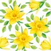 Serwetki Daffodils in bloom 33 x 33 cm 20 szt.
