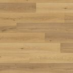 Panel podłogowy laminowany DĄB TROJA AC4 8 mm ANTENS