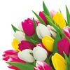 Serwetki Bunch of tulips 33 x 33 cm 20 szt.