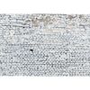 Fototapeta BIAŁA CEGŁA 254 x 368 cm