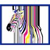 Obraz ZEBRA 50 x 40 cm