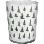 Świeca zapachowa w szkle Conifer Forest miód