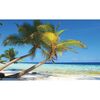 Fototapeta PLAŻA 70.5 x 104 cm