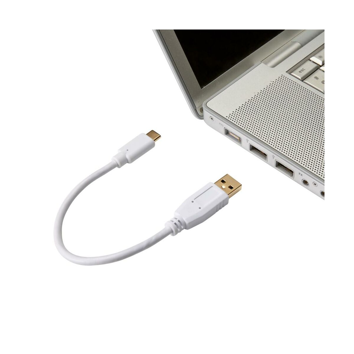 Przewód USB C / USB A 20 cm EVOLOGY