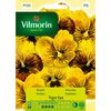 Bratek TIGER EYE MIESZANKA nasiona tradycyjne 20 szt. VILMORIN