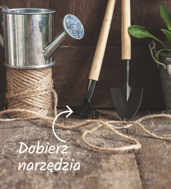 Narzędzia do ogrodu w słoiku