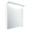 Szafka łazienkowa z oświetleniem ELIZA 50 X 62.2 X 16.1 ASTOR