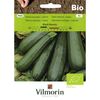 Dynia zwyczajna (Cukinia) BLACK BEAUTY BIO nasiona ekologiczne 2 g VILMORIN