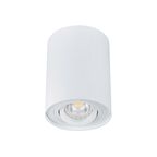 Sufitowa oprawa natynkowa BORD DLP-50-W 25 KANLUX