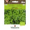 Pietruszka naciowa GIGANTE D'ITALIA BIO VILMORIN