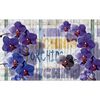 Fototapeta FIOLETOWA ORCHIDEA 416 x 254 cm