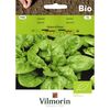 Szpinak GEANT D'HIVER BIO nasiona ekologiczne 10 g VILMORIN