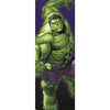 Fototapeta Hulk 73 x 202 cm Marvel