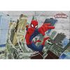 Fototapeta SPIDER-MAN CONCRETE 254 x 368 cm