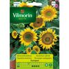 Nasiona kwiatów SUNSPOT Słonecznik karłowy VILMORIN
