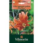 Lilia tygrysia pełna FLORE PLENO 2szt. VILMORIN