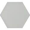 Gres szkliwiony NEUTRAL WHITE 22 X 25 CODICER