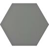 Gres szkliwiony NEUTRAL GREY 22 X 25 CODICER