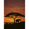 Fotografia ścienna AFRICAN SUNSET 270 x 194 cm KOMAR