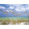 Fototapeta OCEAN BREEZE 254 x 368 cm