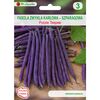 Fasola zwykła karłowa PURPLE TEEPEE W. LEGUTKO
